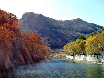 澳门精准正版免费大全14年新，泰安市泰师附小